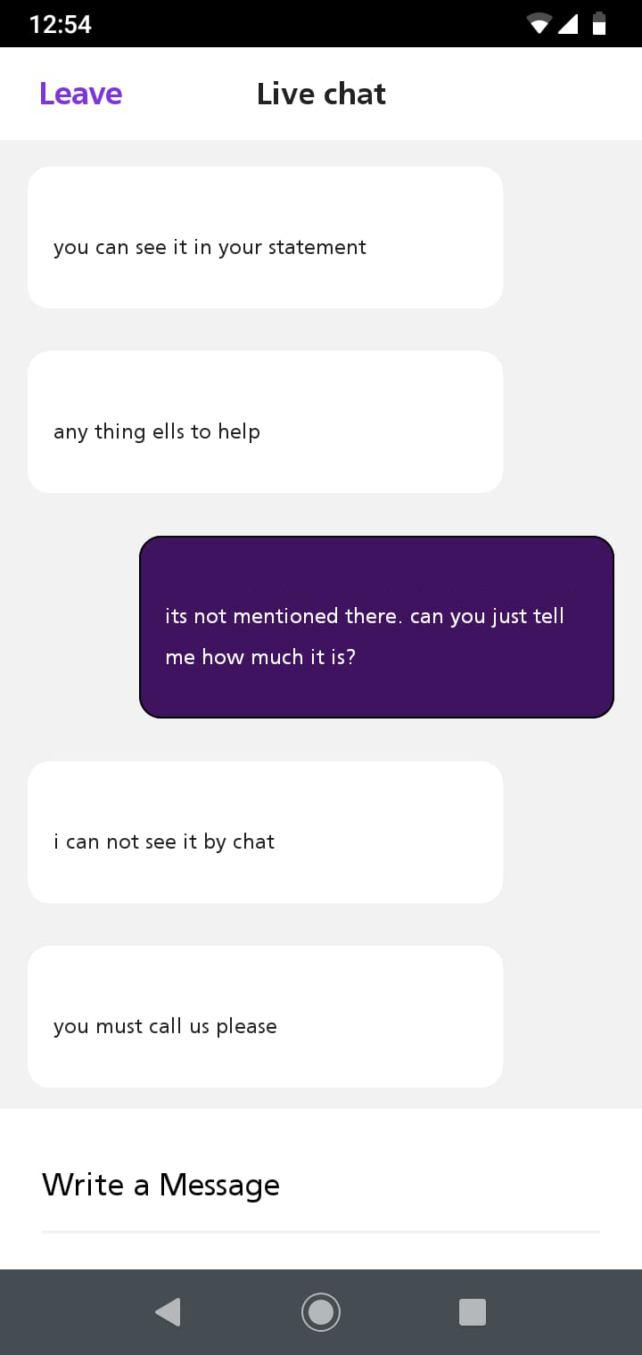 Support Chat Screenshot