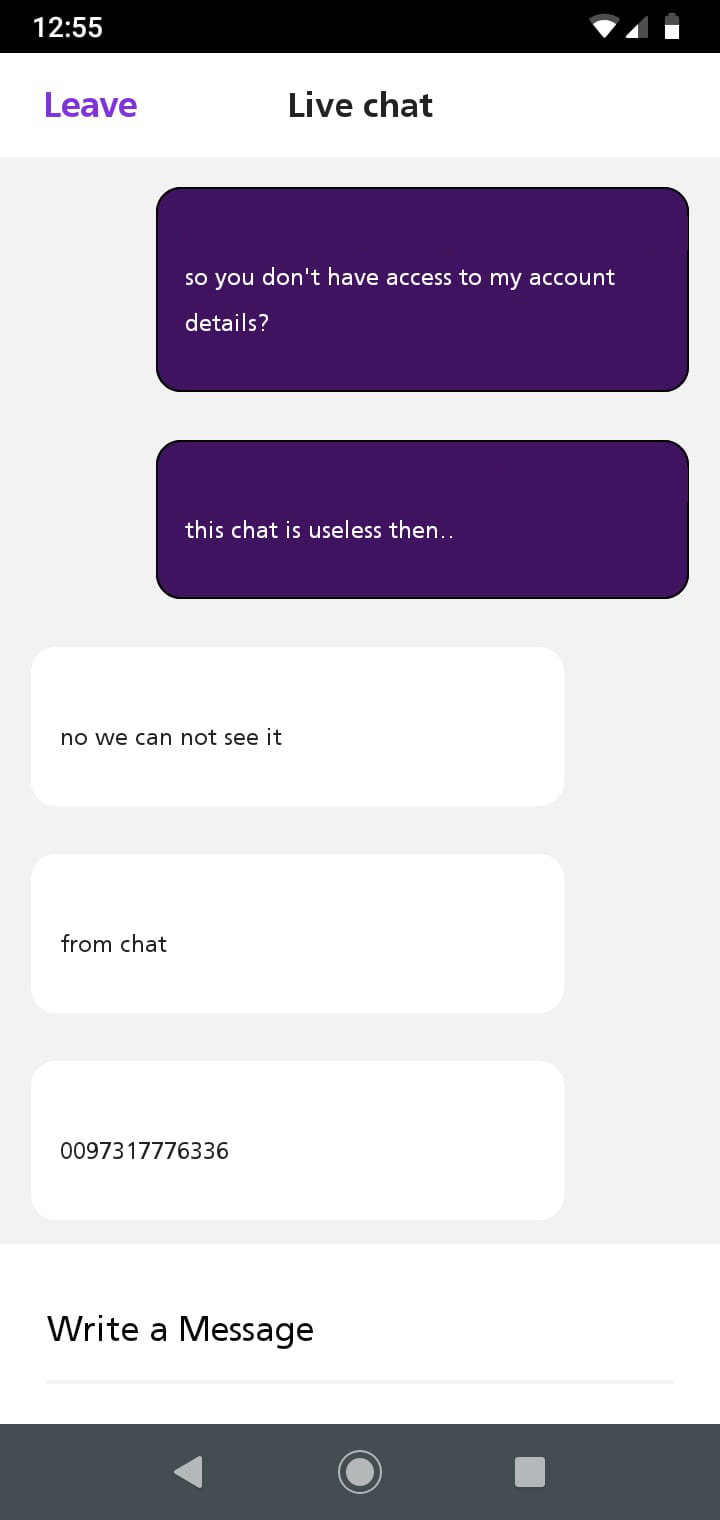 Support Chat Screenshot